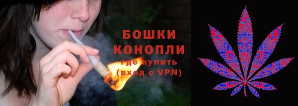 прущая мука Белокуриха