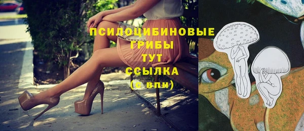 дмт Белоозёрский