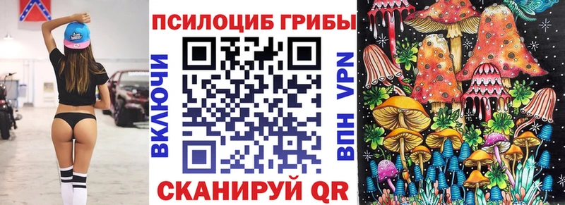 Галлюциногенные грибы прущие грибы  Нерчинск 
